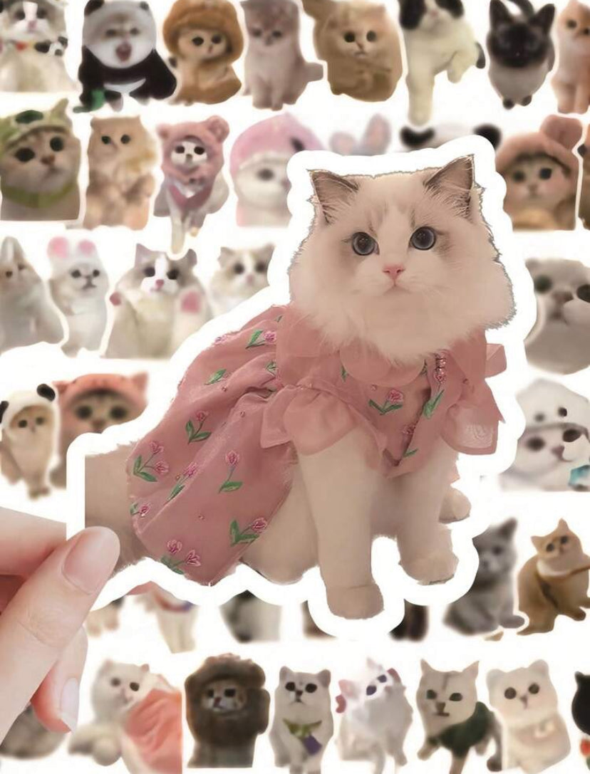 Whatsapp cats stickers