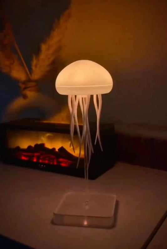 Our famous jellyfish lamp