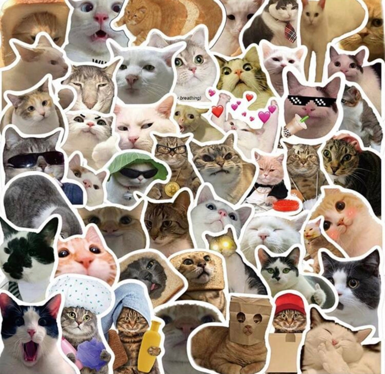 Funny cats stickers