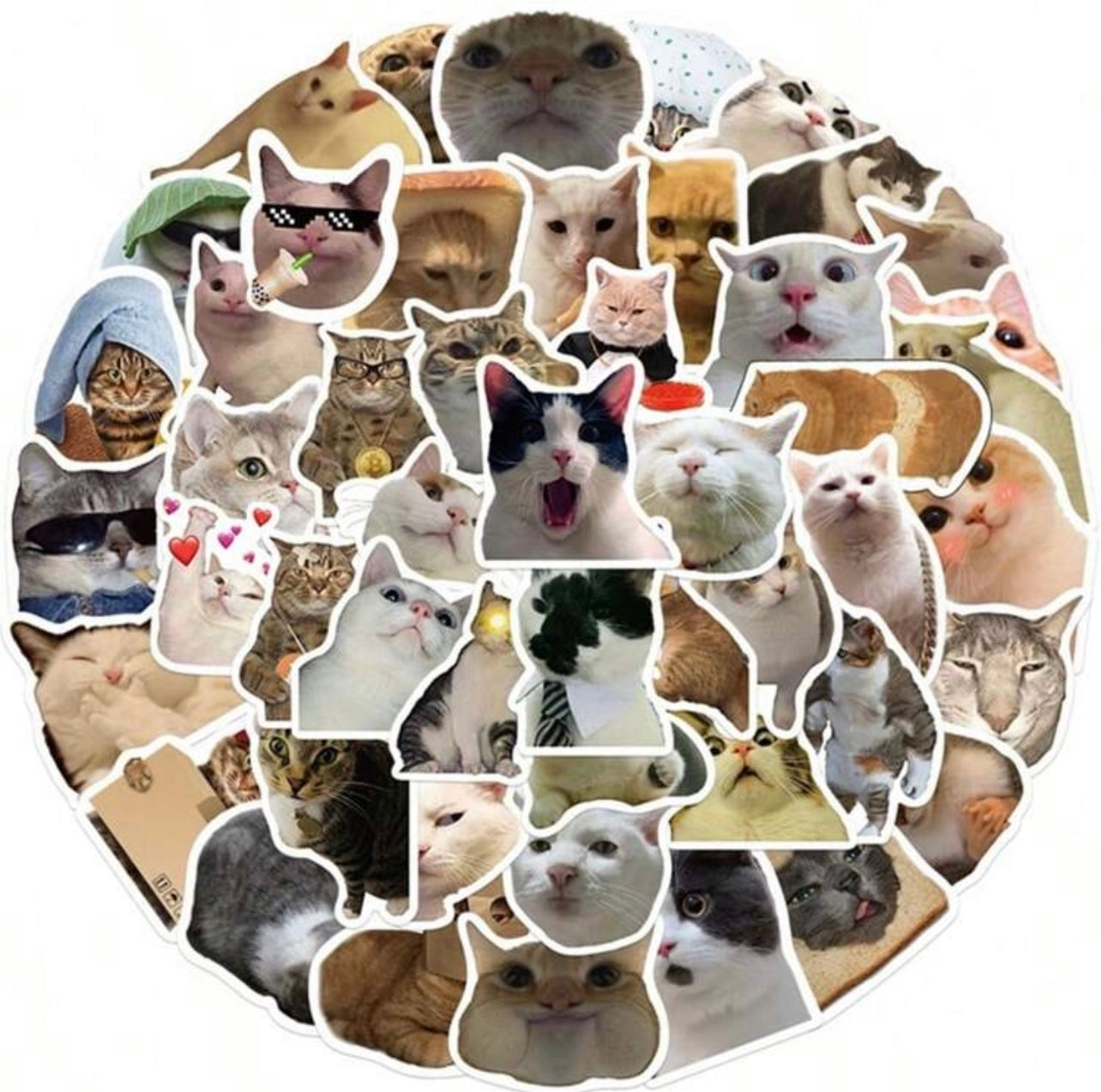 Whatsapp cats stickers