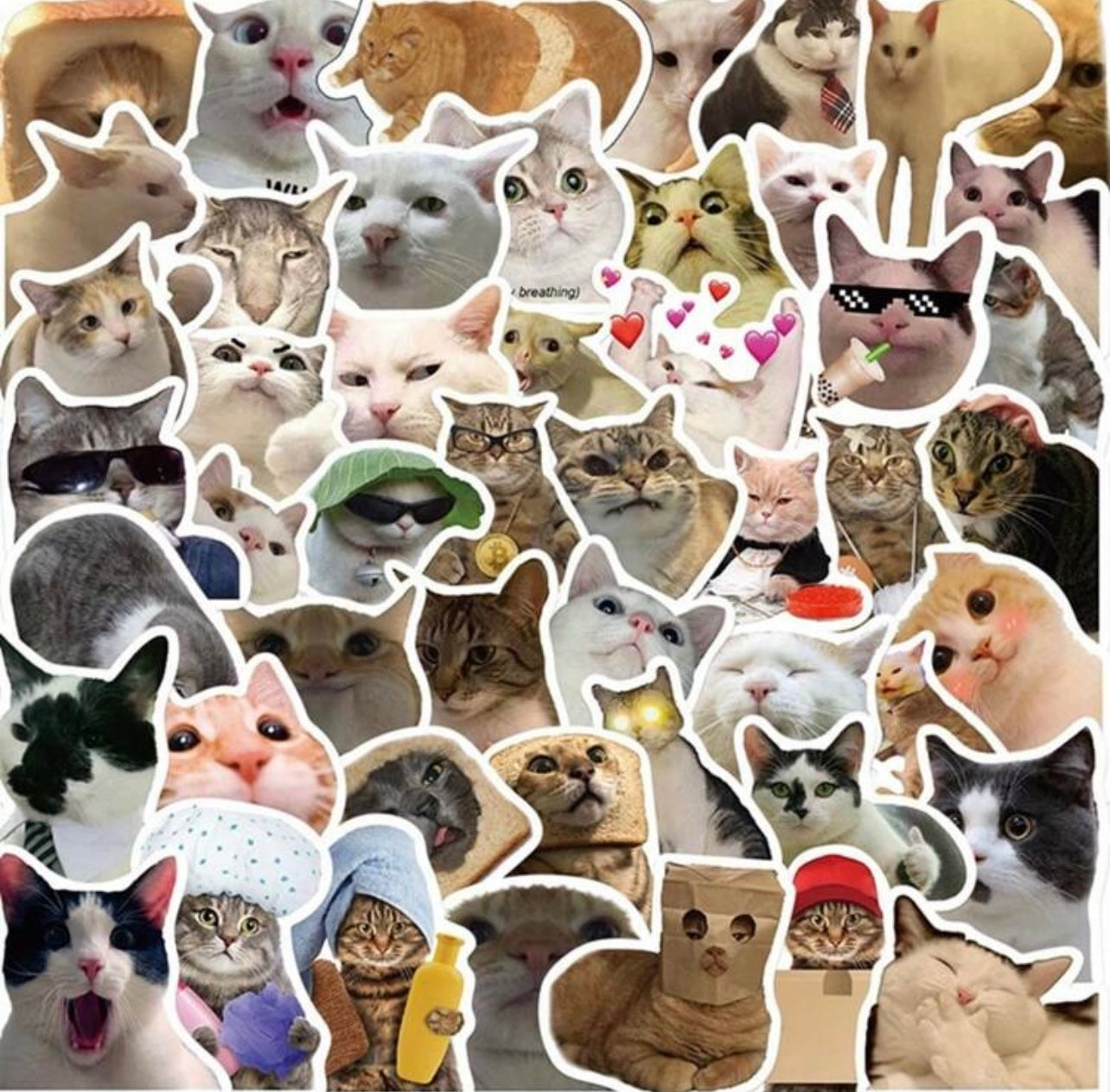 Whatsapp cats stickers