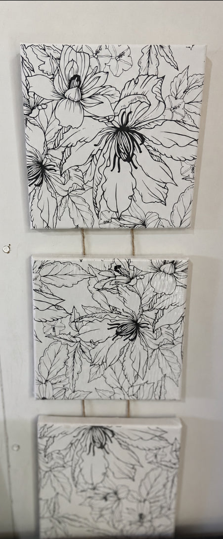 Canvas set