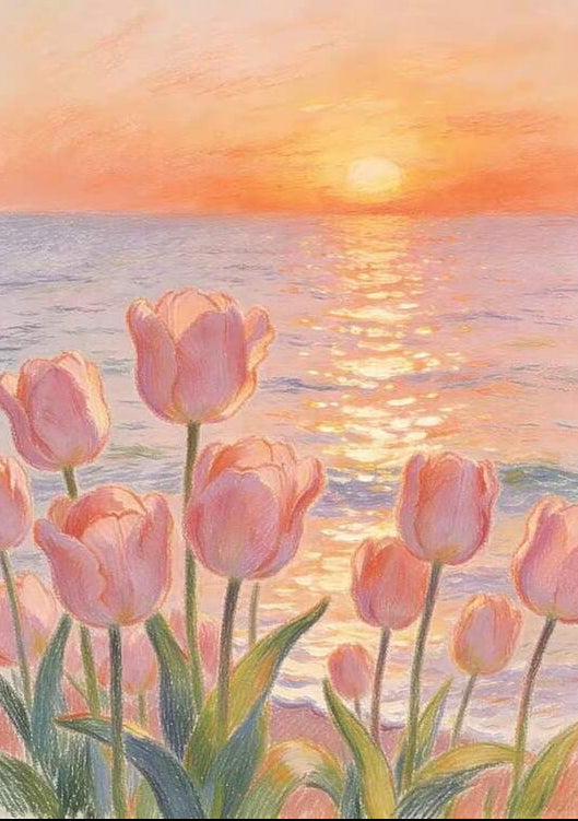 Tulip at the sunset