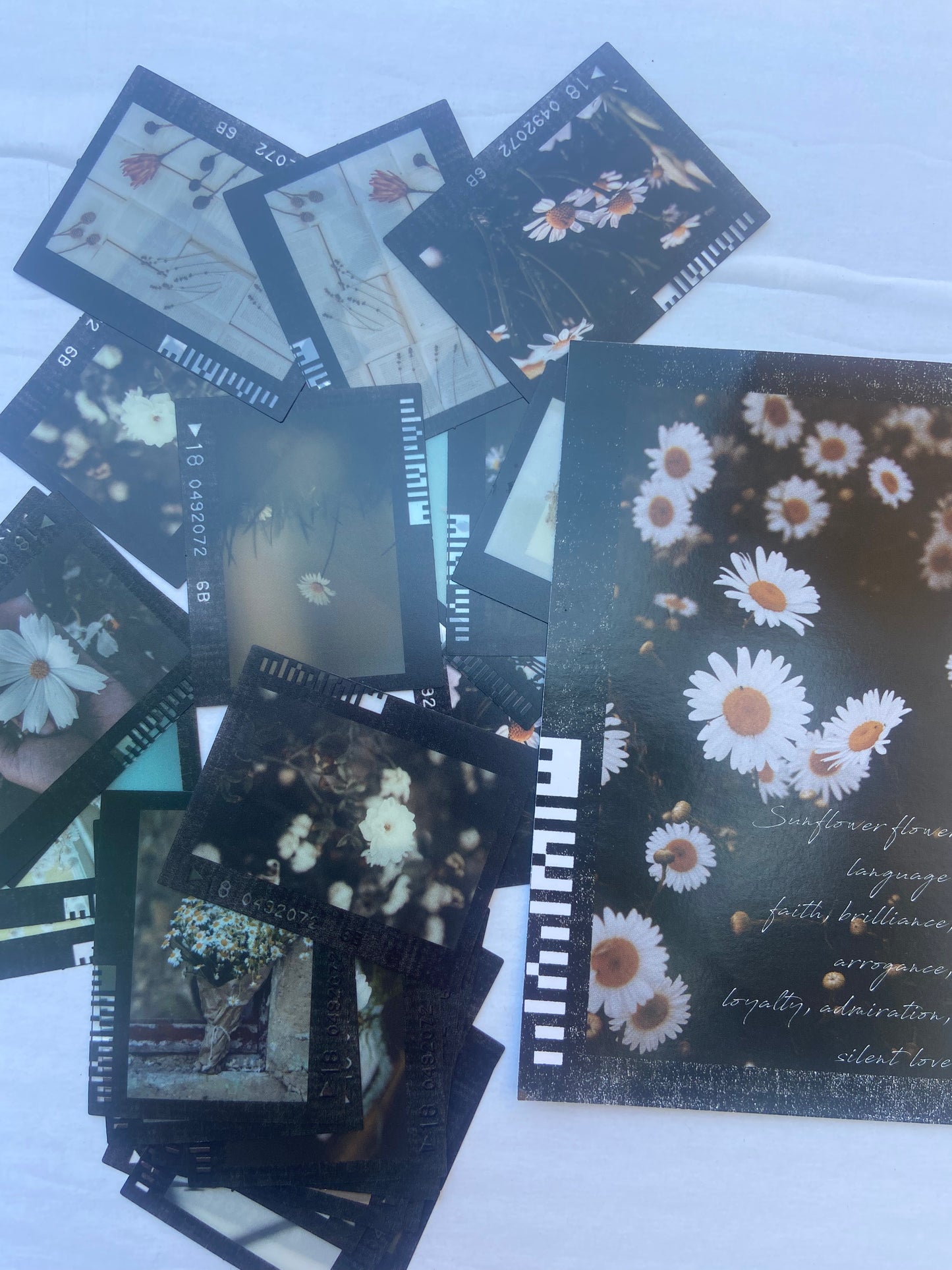 Flowers stickers